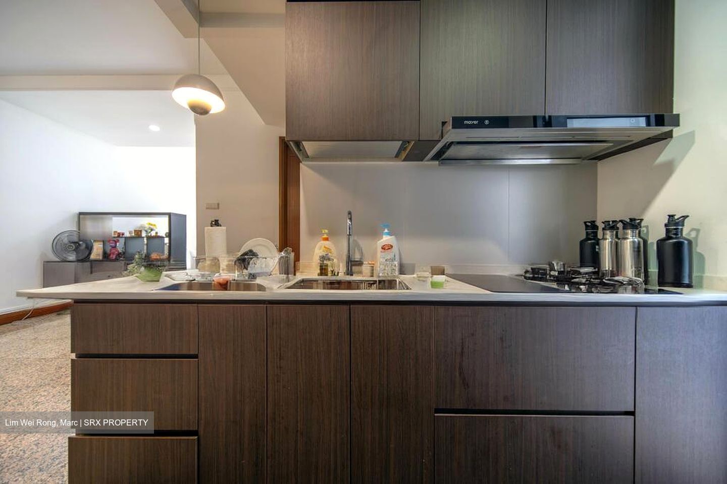River Place (D3), Condominium #510748901